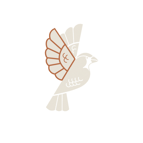 Contact Button Animation